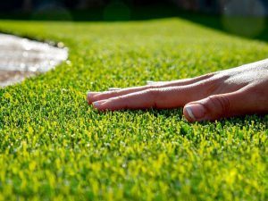 Read more about the article Artificial Grass vs. AstroTurf Review and Advice