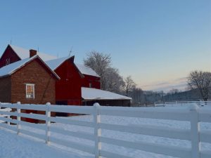 Read more about the article How to Maintain Your Fence Against Canada’s Harsh Winter