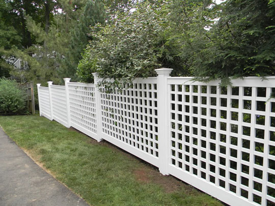 You are currently viewing Best Privacy Fencing Solution in Canada